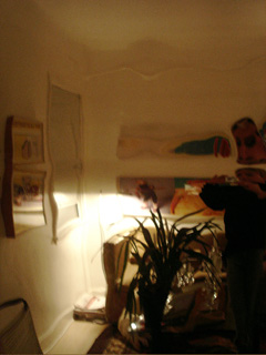 Untitled 3(Mylar Photos), 2006